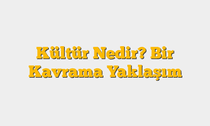 Kültür Nedir? Bir Kavrama Yaklaşım
