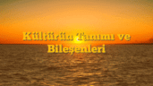 Kültürün Tanımı ve Bileşenleri
