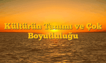 Kültürün Tanımı ve Çok Boyutluluğu