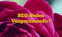 SEO Neden Vazgeçilmezdir?