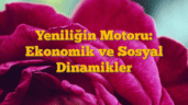 Yeniliğin Motoru: Ekonomik ve Sosyal Dinamikler