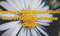 İnovasyonun Dinamikleri: Yeni Ürünleri Tetikleyen Güçler