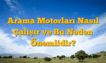 Arama Motorları Nasıl Çalışır ve Bu Neden Önemlidir?
