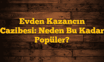 Evden Kazancın Cazibesi: Neden Bu Kadar Popüler?