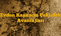 Evden Kazancın Çekirdek Avantajları