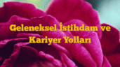 Geleneksel İstihdam ve Kariyer Yolları
