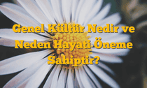 Genel Kültür Nedir ve Neden Hayati Öneme Sahiptir?
