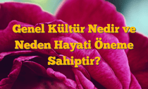 Genel Kültür Nedir ve Neden Hayati Öneme Sahiptir?