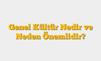 Genel Kültür Nedir ve Neden Önemlidir?