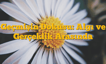 Geçmişin Dokusu: Algı ve Gerçeklik Arasında