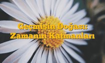 Geçmişin Doğası: Zamanın Katmanları