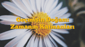 Geçmişin Doğası: Zamanın Katmanları