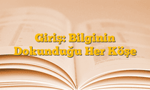 Giriş: Bilginin Dokunduğu Her Köşe