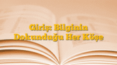Giriş: Bilginin Dokunduğu Her Köşe