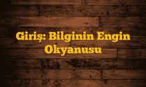 Giriş: Bilginin Engin Okyanusu