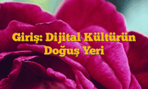 Giriş: Dijital Kültürün Doğuş Yeri