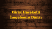 Giriş: Hareketli İmgelemin Dansı