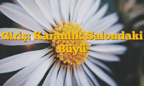 Giriş: Karanlık Salondaki Büyü