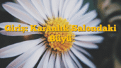 Giriş: Karanlık Salondaki Büyü