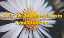 Giriş: İnsan Deneyiminin Temel Dokusu