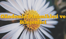 Gündemin Dinamikleri ve Bileşenleri