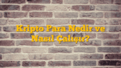Kripto Para Nedir ve Nasıl Çalışır?