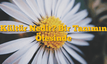 Kültür Nedir? Bir Tanımın Ötesinde