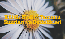 Kültür Nedir? Tanımın Sınırları ve Derinlikleri