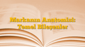 Markanın Anatomisi: Temel Bileşenler