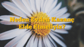 Neden Evden Kazanç Elde Etmeliyiz?