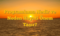 Programlama Nedir ve Neden Hayati Önem Taşır?