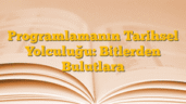 Programlamanın Tarihsel Yolculuğu: Bitlerden Bulutlara