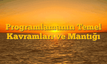 Programlamanın Temel Kavramları ve Mantığı