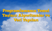 Programlamanın Temel Taşları: Algoritmalar ve Veri Yapıları