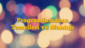 Programlamanın Temelleri ve Mantığı