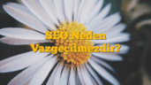 SEO Neden Vazgeçilmezdir?