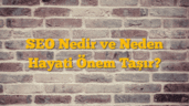 SEO Nedir ve Neden Hayati Önem Taşır?
