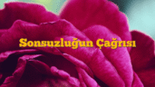 Sonsuzluğun Çağrısı