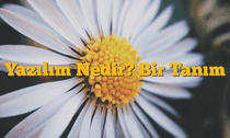 Yazılım Nedir? Bir Tanım