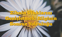 Zihnin Ufuklarını Genişletmek: Bilginin Sonsuz Yolculuğu