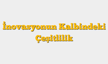 İnovasyonun Kalbindeki Çeşitlilik