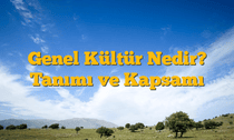 Genel Kültür Nedir? Tanımı ve Kapsamı