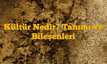Kültür Nedir? Tanımı ve Bileşenleri