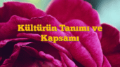 Kültürün Tanımı ve Kapsamı