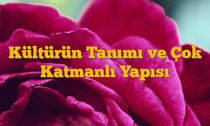 Kültürün Tanımı ve Çok Katmanlı Yapısı