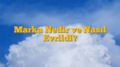 Marka Nedir ve Nasıl Evrildi?