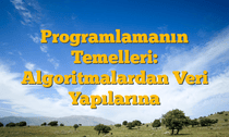 Programlamanın Temelleri: Algoritmalardan Veri Yapılarına
