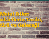 İnsanlığın Evrensel Pusulası: Bilimin Bitmeyen Keşif Yolculuğu