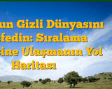 Dijital Dünyanın Görünmez Mimarisi: Programlamanın Gücü ve Geleceği