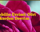 Evrenin Gizemli Anahtarı: Bilimin Bitmeyen Yolculuğu